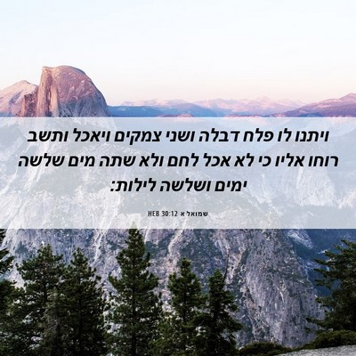 Picture 06 - שמואל א 30:12 HEB - ויתנו לו פלח דבלה ושני - Bible Verse Picture