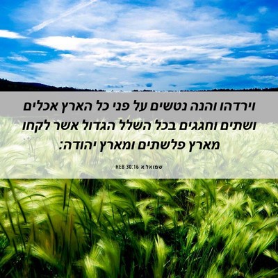 Picture 06 - שמואל א 30:16 HEB - וירדהו והנה נטשים על פני כל - Bible Verse Picture