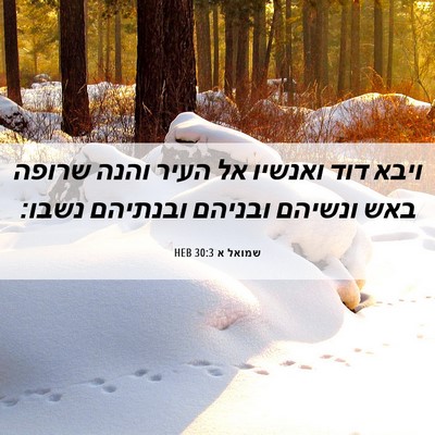 Picture 06 - שמואל א 30:3 HEB - ויבא דוד ואנשיו אל העיר - Bible Verse Picture