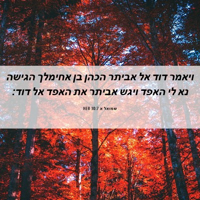 Picture 06 - שמואל א 30:7 HEB - ויאמר דוד אל אביתר הכהן בן - Bible Verse Picture