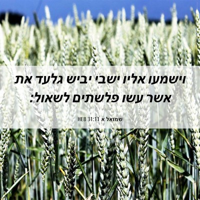 Picture 06 - שמואל א 31:11 HEB - וישמעו אליו ישבי יביש גלעד - Bible Verse Picture