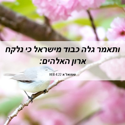 Picture 06 - שמואל א 4:22 HEB - ותאמר גלה כבוד מישראל כי - Bible Verse Picture