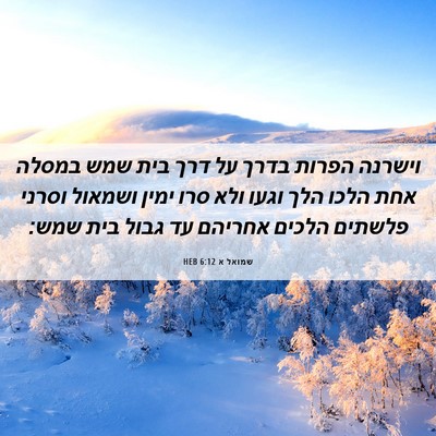 Picture 06 - שמואל א 6:12 HEB - וישרנה הפרות בדרך על דרך - Bible Verse Picture