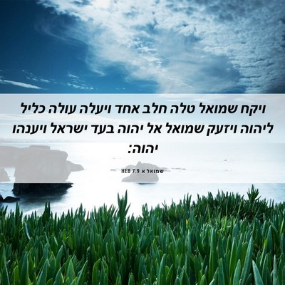 Picture 06 - שמואל א 7:9 HEB - ויקח שמואל טלה חלב אחד - Bible Verse Picture