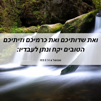 Picture 06 - שמואל א 8:14 HEB - ואת שדותיכם ואת כרמיכם - Bible Verse Picture