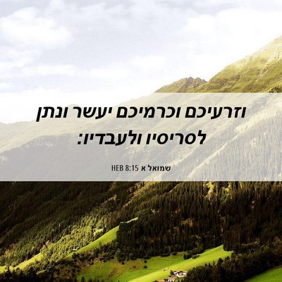 Picture 06 - שמואל א 8:15 HEB - וזרעיכם וכרמיכם יעשר ונתן - Bible Verse Picture