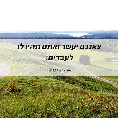 Picture 06 - שמואל א 8:17 HEB - צאנכם יעשר ואתם תהיו לו - Bible Verse Picture