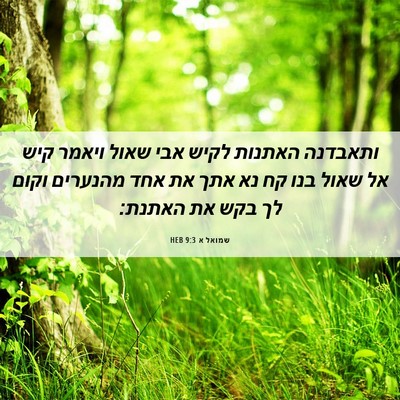 Picture 06 - שמואל א 9:3 HEB - ותאבדנה האתנות לקיש אבי - Bible Verse Picture