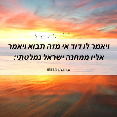Picture 06 - שמואל ב 1:3 HEB - ויאמר לו דוד אי מזה תבוא - Bible Verse Picture