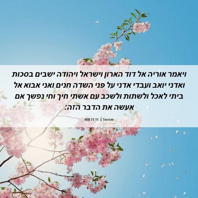 Picture 06 - שמואל ב 11:11 HEB - ויאמר אוריה אל דוד הארון - Bible Verse Picture