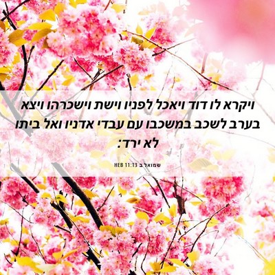Picture 06 - שמואל ב 11:13 HEB - ויקרא לו דוד ויאכל לפניו - Bible Verse Picture