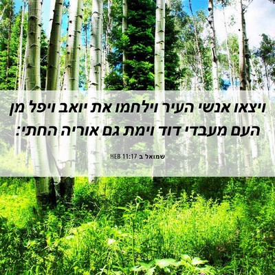 Picture 06 - שמואל ב 11:17 HEB - ויצאו אנשי העיר וילחמו את - Bible Verse Picture