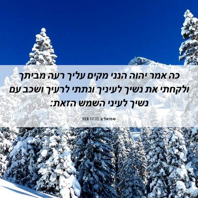 Picture 06 - שמואל ב 12:11 HEB - כה אמר יהוה הנני מקים עליך - Bible Verse Picture