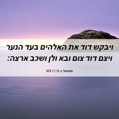 Picture 06 - שמואל ב 12:16 HEB - ויבקש דוד את האלהים בעד - Bible Verse Picture