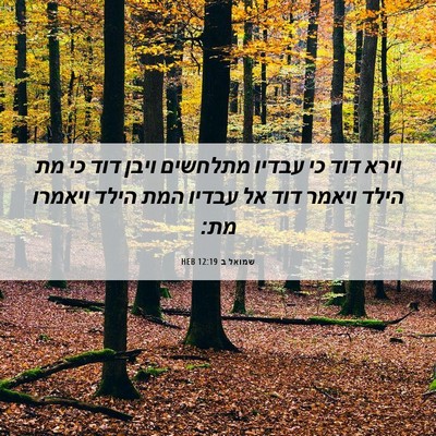 Picture 06 - שמואל ב 12:19 HEB - וירא דוד כי עבדיו מתלחשים - Bible Verse Picture