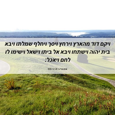 Picture 06 - שמואל ב 12:20 HEB - ויקם דוד מהארץ וירחץ ויסך - Bible Verse Picture