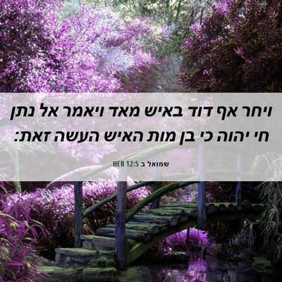 Picture 06 - שמואל ב 12:5 HEB - ויחר אף דוד באיש מאד ויאמר - Bible Verse Picture