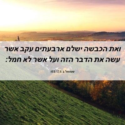 Picture 06 - שמואל ב 12:6 HEB - ואת הכבשה ישלם ארבעתים עקב - Bible Verse Picture