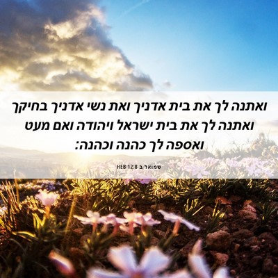 Picture 06 - שמואל ב 12:8 HEB - ואתנה לך את בית אדניך ואת - Bible Verse Picture