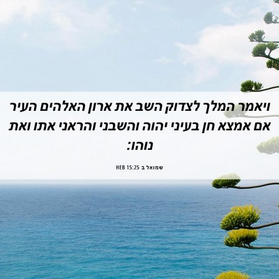 Picture 06 - שמואל ב 15:25 HEB - ויאמר המלך לצדוק השב את - Bible Verse Picture