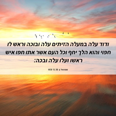 Picture 06 - שמואל ב 15:30 HEB - ודוד עלה במעלה הזיתים עלה - Bible Verse Picture