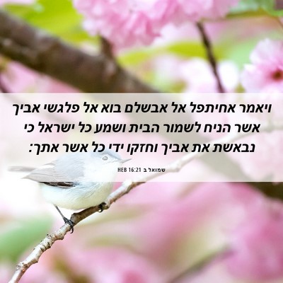 Picture 06 - שמואל ב 16:21 HEB - ויאמר אחיתפל אל אבשלם בוא - Bible Verse Picture