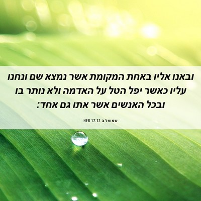 Picture 06 - שמואל ב 17:12 HEB - ובאנו אליו באחת המקומת אשר - Bible Verse Picture