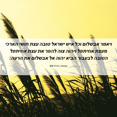 Picture 06 - שמואל ב 17:14 HEB - ויאמר אבשלום וכל איש ישראל - Bible Verse Picture