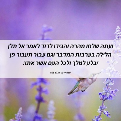 Picture 06 - שמואל ב 17:16 HEB - ועתה שלחו מהרה והגידו לדוד - Bible Verse Picture