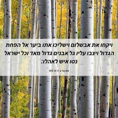 Picture 06 - שמואל ב 18:17 HEB - ויקחו את אבשלום וישליכו - Bible Verse Picture