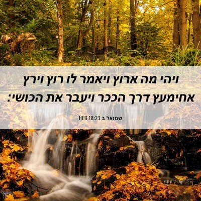 Picture 06 - שמואל ב 18:23 HEB - ויהי מה ארוץ ויאמר לו רוץ - Bible Verse Picture