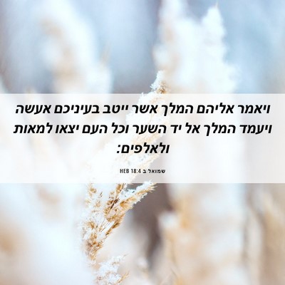 Picture 06 - שמואל ב 18:4 HEB - ויאמר אליהם המלך אשר ייטב - Bible Verse Picture