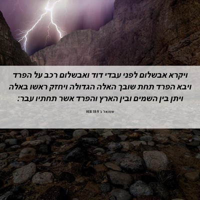 Picture 06 - שמואל ב 18:9 HEB - ויקרא אבשלום לפני עבדי דוד - Bible Verse Picture