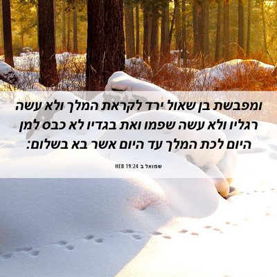 Picture 06 - שמואל ב 19:24 HEB - ומפבשת בן שאול ירד לקראת - Bible Verse Picture