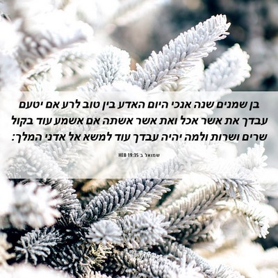 Picture 06 - שמואל ב 19:35 HEB - בן שמנים שנה אנכי היום האדע - Bible Verse Picture