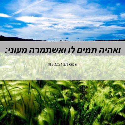 Picture 06 - שמואל ב 22:24 HEB - ואהיה תמים לו ואשתמרה - Bible Verse Picture