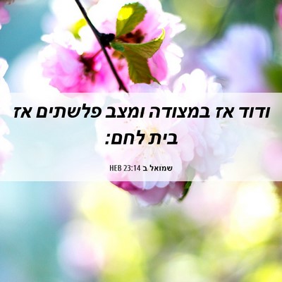 Picture 06 - שמואל ב 23:14 HEB - ודוד אז במצודה ומצב פלשתים - Bible Verse Picture