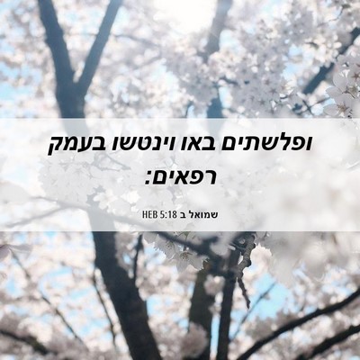Picture 06 - שמואל ב 5:18 HEB - ופלשתים באו וינטשו בעמק - Bible Verse Picture