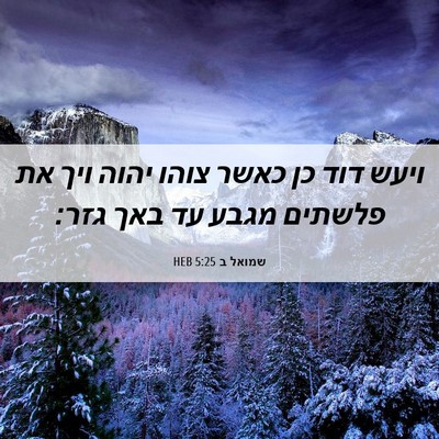 Picture 06 - שמואל ב 5:25 HEB - ויעש דוד כן כאשר צוהו יהוה - Bible Verse Picture