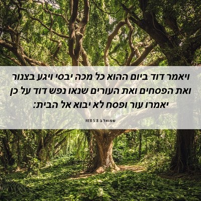 Picture 06 - שמואל ב 5:8 HEB - ויאמר דוד ביום ההוא כל מכה - Bible Verse Picture