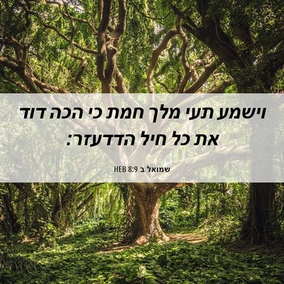 Picture 06 - שמואל ב 8:9 HEB - וישמע תעי מלך חמת כי הכה - Bible Verse Picture