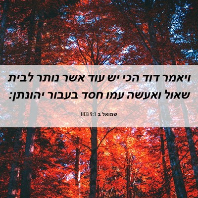 Picture 06 - שמואל ב 9:1 HEB - ויאמר דוד הכי יש עוד אשר - Bible Verse Picture