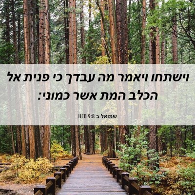 Picture 06 - שמואל ב 9:8 HEB - וישתחו ויאמר מה עבדך כי - Bible Verse Picture