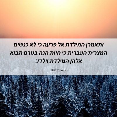 Picture 06 - שמות 1:19 HEB - ותאמרן המילדת אל פרעה כי לא - Bible Verse Picture