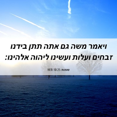 Picture 06 - שמות 10:25 HEB - ויאמר משה גם אתה תתן בידנו - Bible Verse Picture