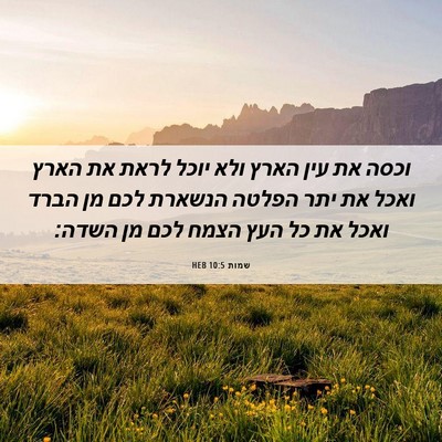 Picture 06 - שמות 10:5 HEB - וכסה את עין הארץ ולא יוכל - Bible Verse Picture