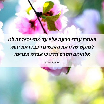 Picture 06 - שמות 10:7 HEB - ויאמרו עבדי פרעה אליו עד - Bible Verse Picture