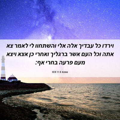 Picture 06 - שמות 11:8 HEB - וירדו כל עבדיך אלה אלי - Bible Verse Picture