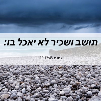 Picture 06 - שמות 12:45 HEB - תושב ושכיר לא יאכל - Bible Verse Picture