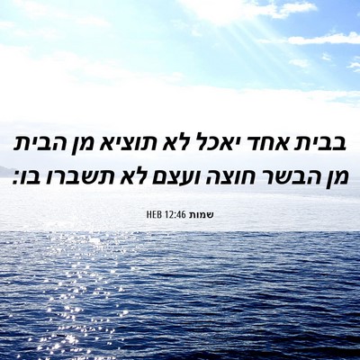 Picture 06 - שמות 12:46 HEB - בבית אחד יאכל לא תוציא מן - Bible Verse Picture
